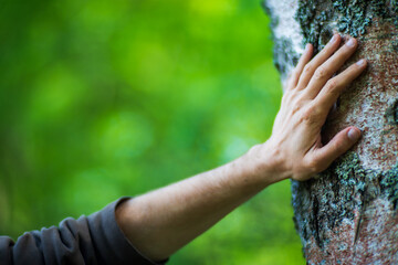 A man's hand touch the tree trunk close-up. Bark wood.Caring for the environment. The ecology concept of saving the world and love nature by human