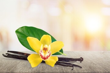 Vanilla flower for flavored drinks on background.