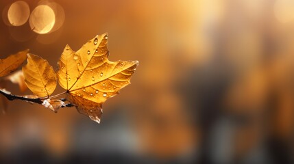 Autumn yellow leaf background, illustration for product presentation template, copy space. Ai generative