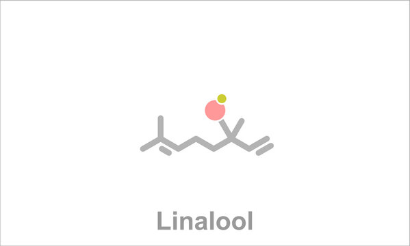 Simplified formula icon of linalool.