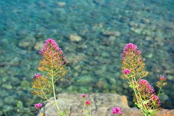 Handdoek met foto Liguria the coast and the sea between cogoleto and varazze liguria italy  © maudanros