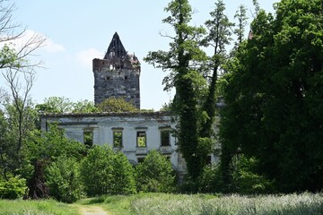 Obraz premium Schlossruine Pottendorf, Österreich, 25.05.2023