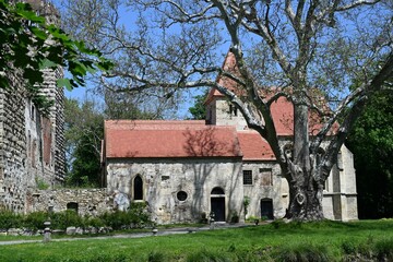 Schlossruine Pottendorf, Österreich, 25.05.2023