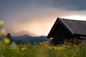 Hut in Garmisch-Partenkirchen in the evening after a storm with a spring meadow with lots of flowers