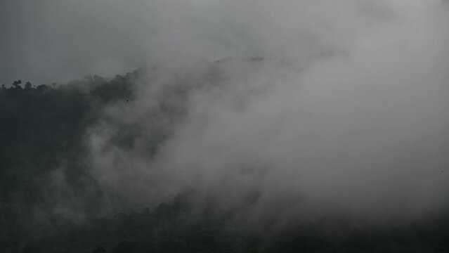 Creation and birth of clouds time lapse in Mindo Cloud Forest near Quito, Ecuador.