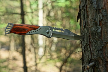 one new very beautiful modern iron compact with a brown handle a sharp knife sticks out in a tree trunk in the forest during the day
