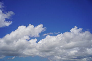Fototapeta premium blue sky with white clouds