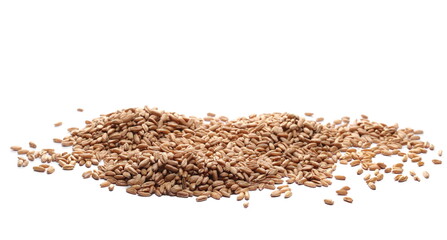Pile organic peeled spelt grains isolated on white, side view