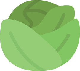 design vector image icons cabbage