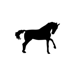 Horse stand with one hoof. Black silhouette of stallion. Mammal animal pose like in wild nature. Graphic vector element about mustang. Domestic farm logo
