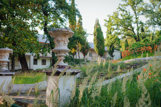 statue in the park