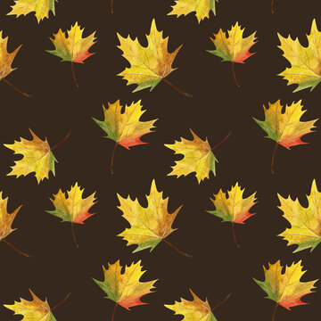 Seamless pattern of watercolor isolated leaves on dark brown background. Watercolor illustration