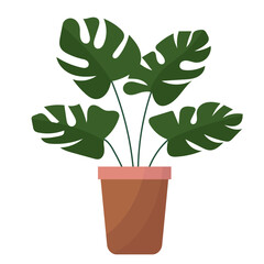 plant in a pot, on a white background in a flat style, isolated