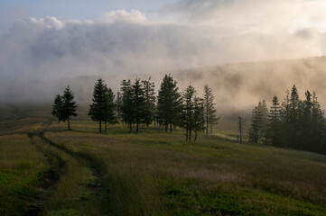 Przelewająca się mgła