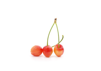 Three ripe cherries.