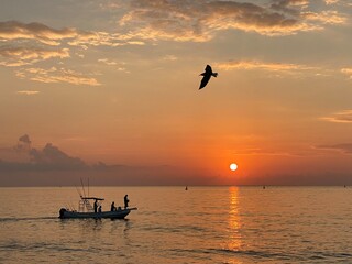 Fototapeta premium Sunrise over the ocean with a boat and a bird flying by