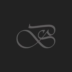 BS caligraphy Logo Style BS logo 