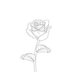 Rose Flower Outline Element Coloring Page