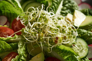 Radish sprouts in vegetable salad, close up