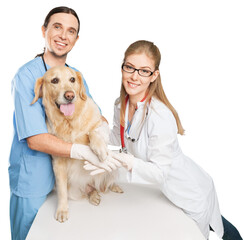 Happy couple of doctors at the vet with dog