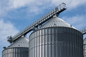 Obraz premium Steel grain storage silos with a conical bottom can be used for various purposes. Industrial facilities of feed and flour mills.