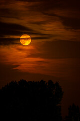 Pomarańczowy księżyc