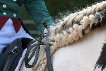 Detail of braided heavy show horse mane and dressage rider in costume