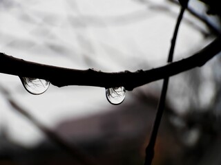 drops of water