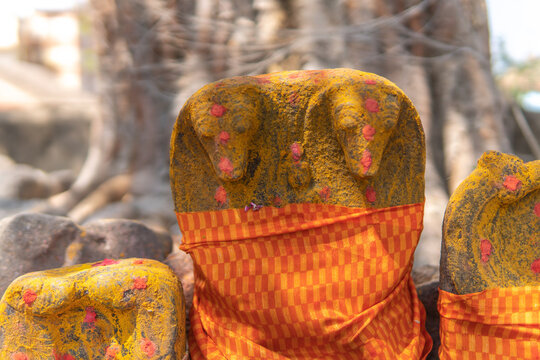 Statue of two snake gods, nagaraja and nagarani. Statue covered with turmeric and has kumkum or kungumam and wrapped with orange cloth, at a outdoor temple in southern India