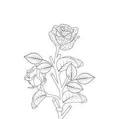 Hand Drawn Rose Flower Coloring Book