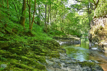 Mountain Stream in the Brecon Beacons, Wales.