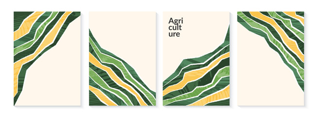 Fototapeta na wymiar Agriculture farm green poster design. Organic abstract field vector background. Agro landscape flyer. Agri business template. Eco farmland illustration set. Organic pattern card. Summer nature cover