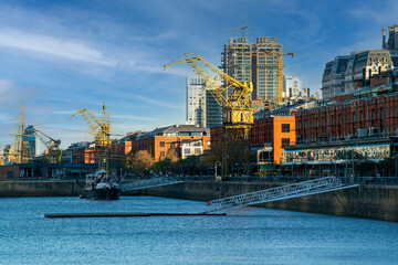 cranes in the harbor