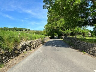 Looking along, Micklethwaite Lane, with dry stone walls, trees, fields, and distant hills, on a sunny day near, Bingley, UK