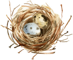 Obraz premium Watercolor bird's nest illustration PNG