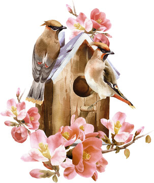 Watercolor birdhouse illustration 