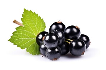 black currant isolated on white background