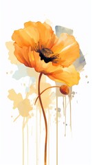 watercolor poppy flowers