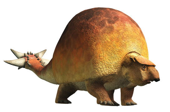 Doedicurus was a prehistoric mammal, a type of glyptodont that resembeled armadillo. It lived in South America during the Pleistocene era, Isolated on a white background. 3D Rendering

