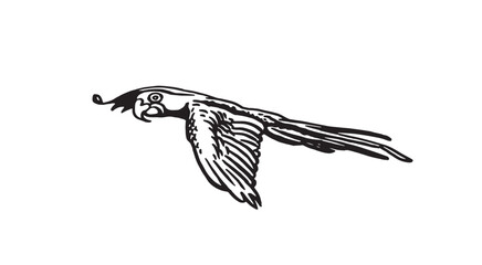 Graphical parrot flying  isolated on white,vector element of bird.Ink pen parrot