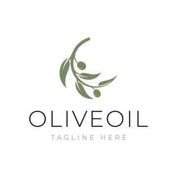 Nature olive oil plant, olive leaf flower logo design vector