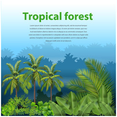 Vector illustration, tropical forest landscape.