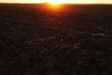 Agriculture and agribusiness concept. Beautiful rural landscape view of large plowed agricultural field of black soil on orange sunset. Preparation farmland for sowing crops and planting vegetables.