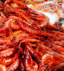 Spanish Red Carabineros Jumbo Prawns