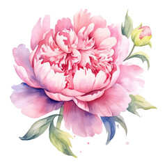 Watercolor beautiful peony flower. Illustration AI Generative.