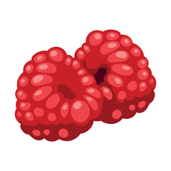 Raspberrys. Red berrys. Vector illustration on white background