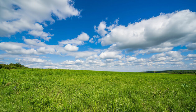 Green grass field with sky and clouds during daytime ai generated