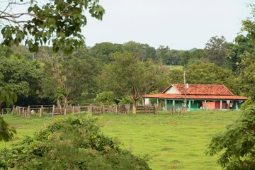 Casa de sitio no interior do Goiás, Brasil.  - obrazy, fototapety, plakaty