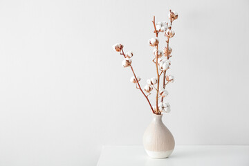 Cotton sprigs in vase on table near white wall
