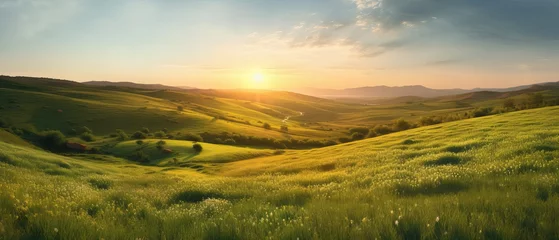 Tuinposter Beautiful summer colorful rustic pastoral landscape panorama. Tall flowering grass on green meadow at sunrise or sunset with beautiful announcement against blue sky © Eli Berr
